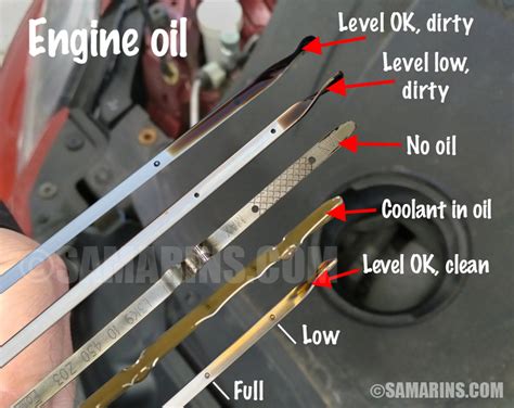 Are You Supposed to Check the Oil with the Car Running, or Should You Just Ask the Engine How It Feels?