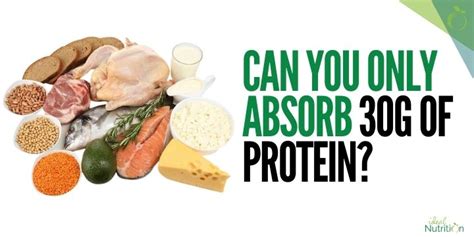 Body Can Only Process 30g Protein: A Gateway to Nutritional Myths and Marvels