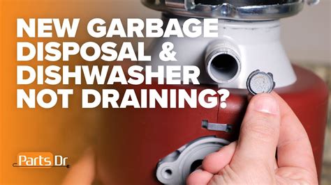 Can You Turn on Garbage Disposal While Dishwasher is Running? And Why Do Sinks Always Smell Like Wet Socks?