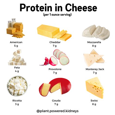 How Much Protein in Cheese Curds: A Curious Exploration into Dairy's Delight