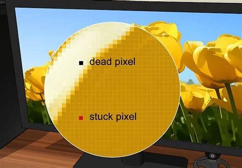 How to Fix Dead Pixels on Monitor: A Journey Through the Digital Void