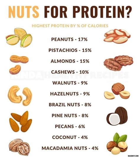 Which Nuts Are Highest in Protein: A Nutty Exploration of Nature's Powerhouses